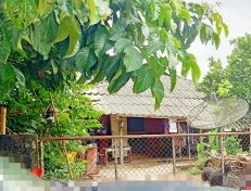 รูปที่ดินพร้อมสิ่งปลูกสร้าง บ้านหลวง แม่อาย เชียงใหม่