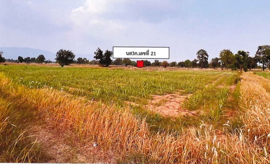 รูปที่ดินว่างเปล่า หนองแวง หนองบัวแดง ชัยภูมิ