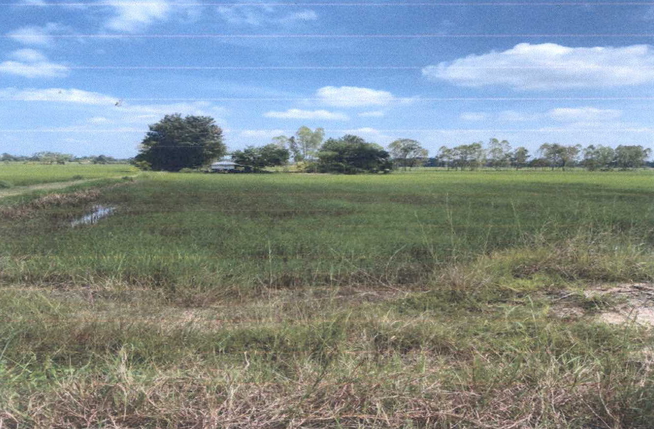 รูปที่ดินว่างเปล่า สำโรงใหม่ ละหานทราย บุรีรัมย์
