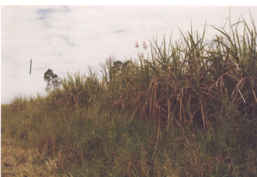 รูปที่ดินว่างเปล่า คำบง บ้านผือ อุดรธานี