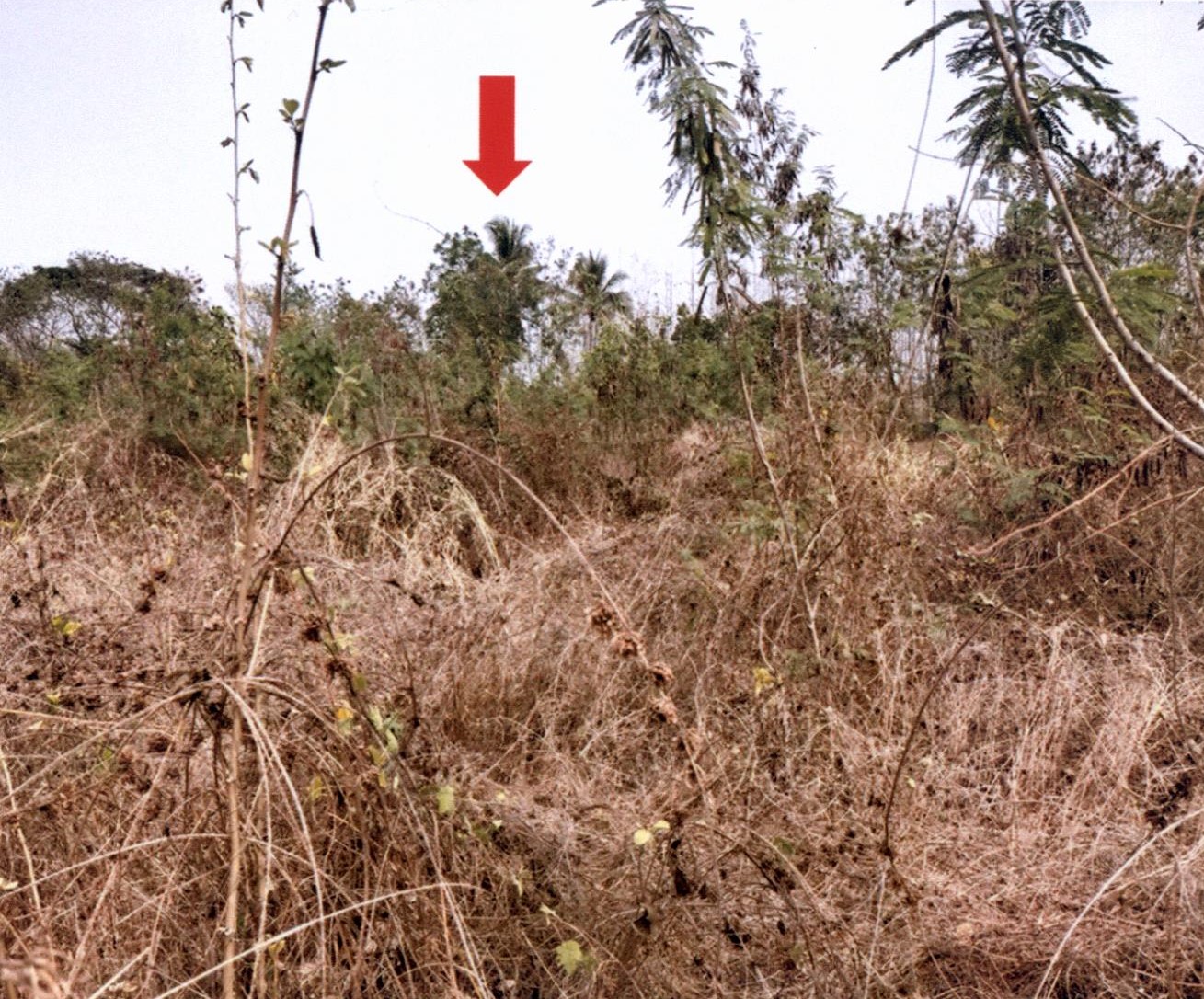 รูปที่ดินว่างเปล่า เด่นชัย เด่นชัย แพร่