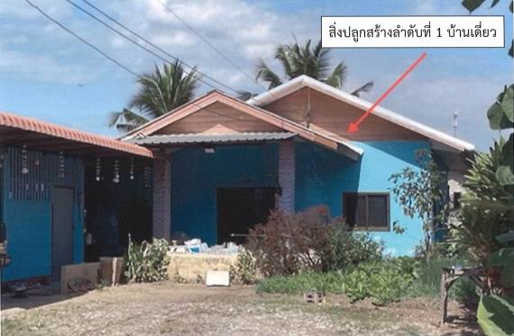 รูปที่ดินพร้อมสิ่งปลูกสร้าง เกาะช้าง แม่สาย เชียงราย