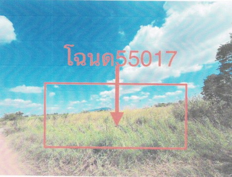 รูปที่ดินว่างเปล่า ผักปัง ภูเขียว ชัยภูมิ