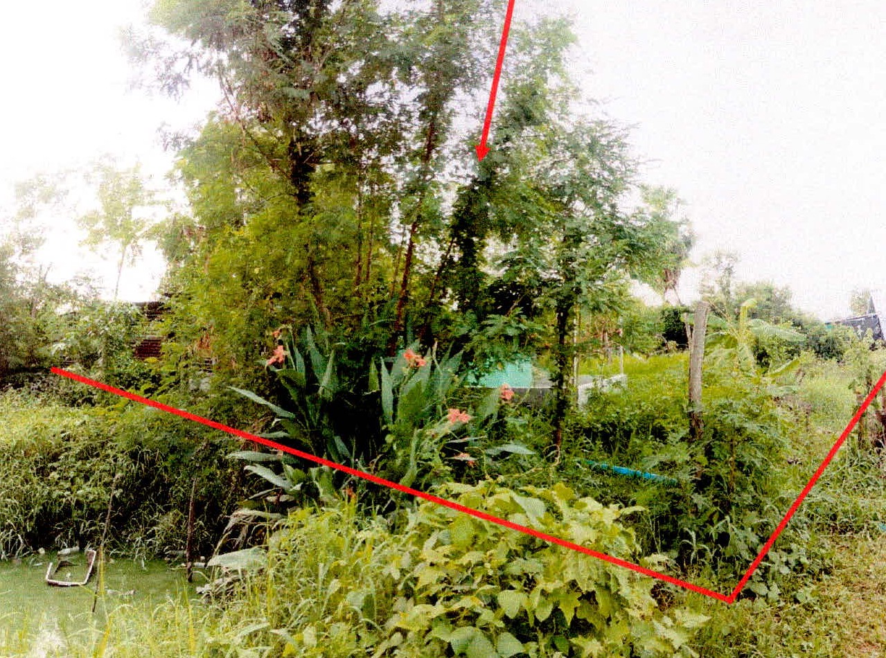 รูปที่ดินว่างเปล่า เฉนียง เมืองสุรินทร์ สุรินทร์