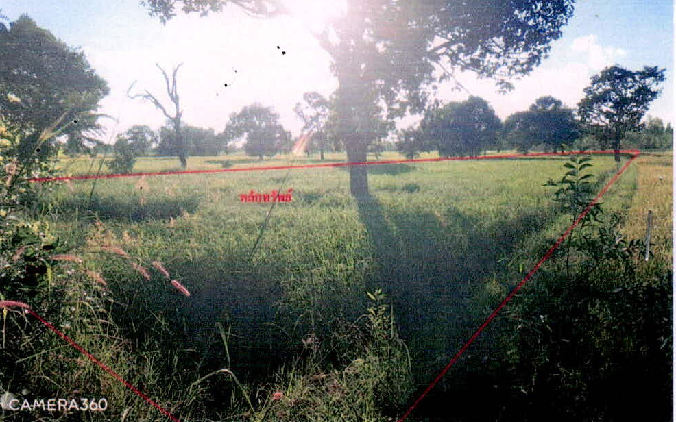 รูปที่ดินว่างเปล่า จาน เมืองศรีสะเกษ ศรีสะเกษ