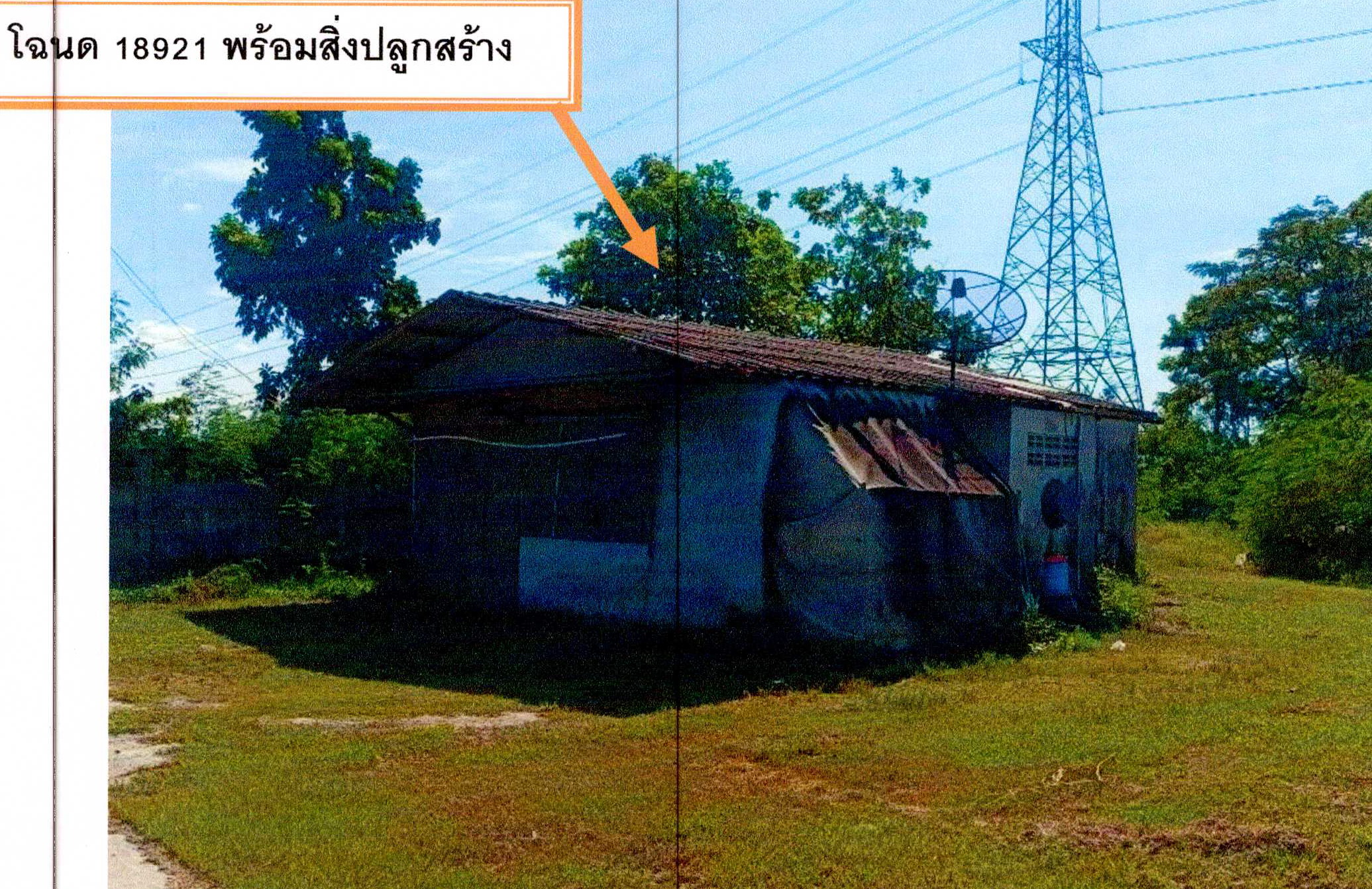รูปที่ดินพร้อมสิ่งปลูกสร้าง บางนาง พานทอง ชลบุรี