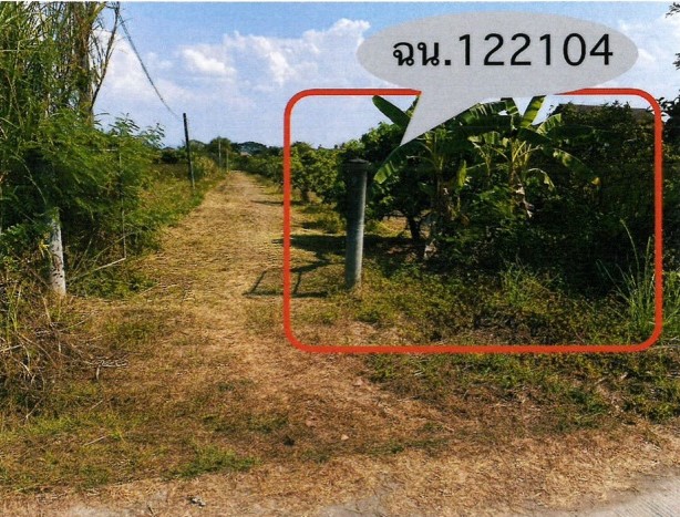 รูปที่ดินว่างเปล่า เหมืองง่า เมืองลำพูน ลำพูน