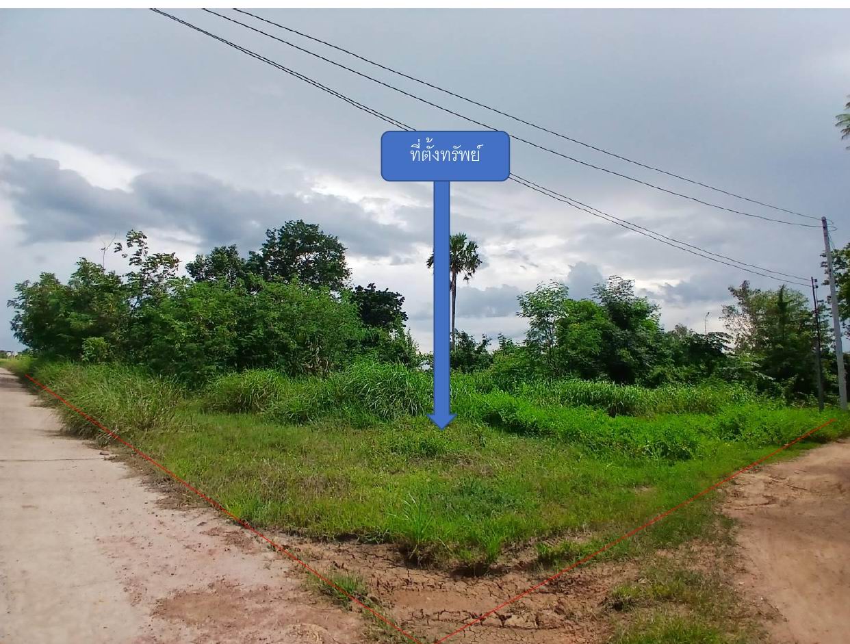 รูปที่ดินว่างเปล่า เมืองไผ่ อรัญประเทศ สระแก้ว