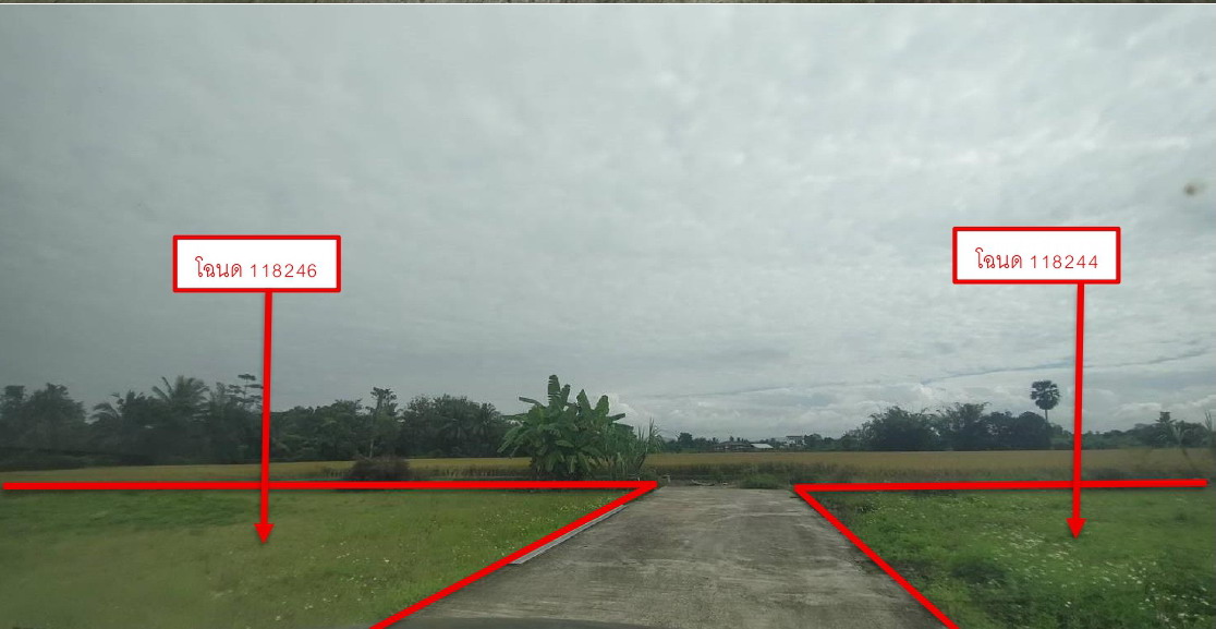 รูปที่ดินว่างเปล่า ป่าไผ่ สันทราย เชียงใหม่