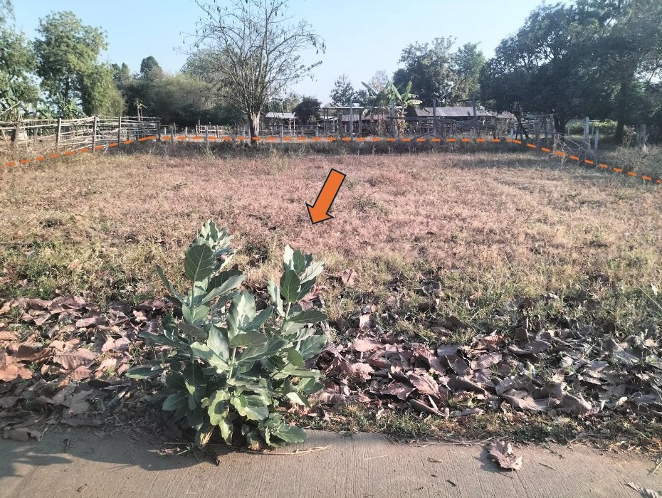 รูปที่ดินว่างเปล่า ศรีสุขสำราญ อุบลรัตน์ ขอนแก่น