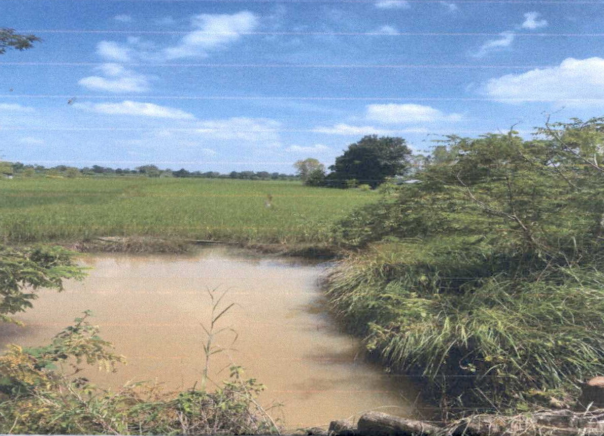 รูปที่ดินว่างเปล่า สำโรงใหม่ ละหานทราย บุรีรัมย์
