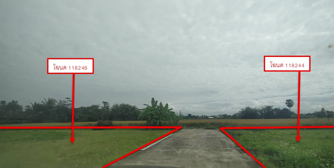 รูปที่ดินว่างเปล่า ป่าไผ่ สันทราย เชียงใหม่