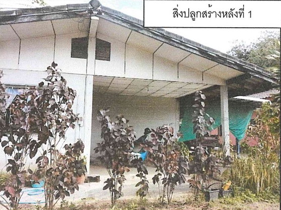 รูปที่ดินพร้อมสิ่งปลูกสร้าง นาโบสถ์ วังเจ้า ตาก