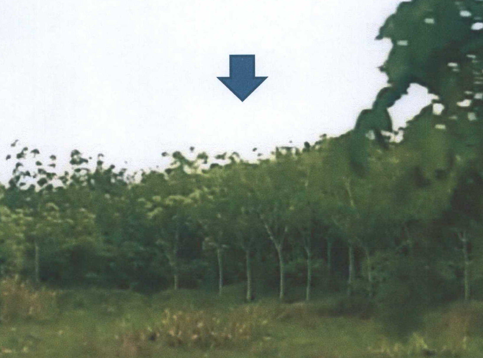 รูปที่ดินว่างเปล่า ปะโด มายอ ปัตตานี