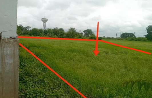 รูปที่ดินว่างเปล่า เนินมะกอก บางมูลนาก พิจิตร