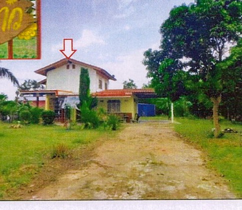 รูปที่ดินพร้อมสิ่งปลูกสร้าง โชคชัย นิคมคำสร้อย มุกดาหาร
