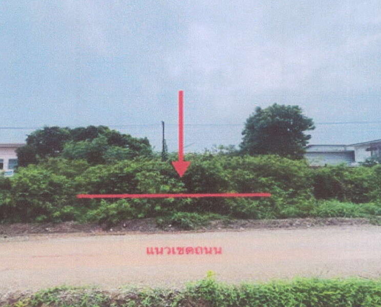 รูปที่ดินว่างเปล่า วะตะแบก เทพสถิต ชัยภูมิ