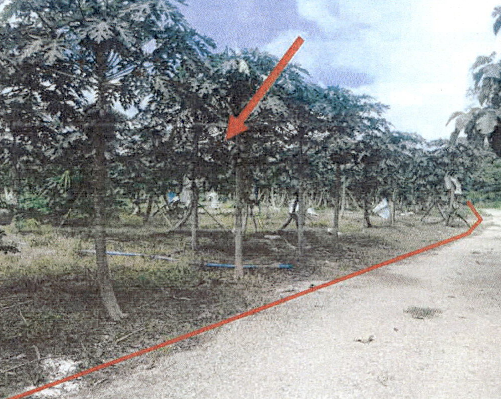 รูปที่ดินว่างเปล่า หัวเสือ แม่ทะ ลำปาง