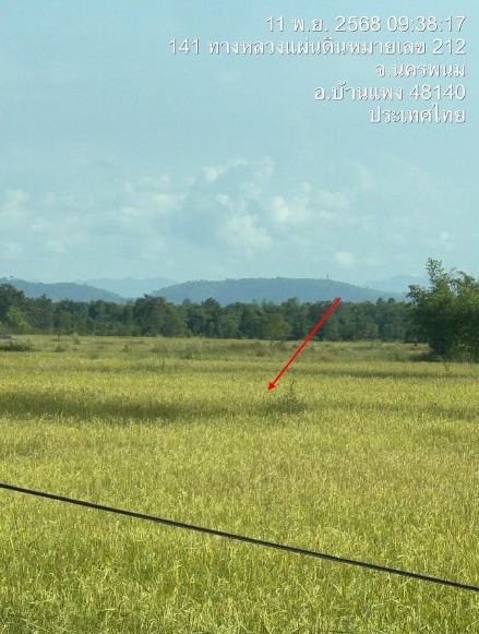 รูปที่ดินว่างเปล่า โพนทอง บ้านแพง นครพนม