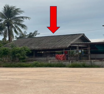 รูปที่ดินพร้อมสิ่งปลูกสร้าง โนนกอก เกษตรสมบูรณ์ ชัยภูมิ