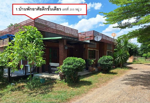 รูปที่ดินพร้อมสิ่งปลูกสร้าง พัฒนานิคม พัฒนานิคม ลพบุรี