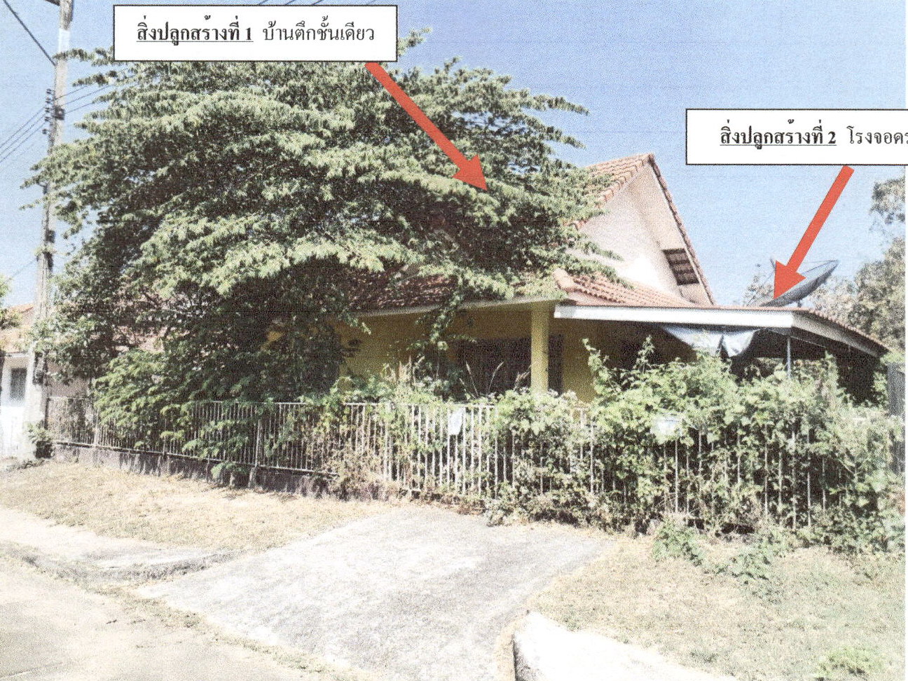 รูปที่ดินพร้อมสิ่งปลูกสร้าง มะเขือแจ้ เมืองลำพูน ลำพูน