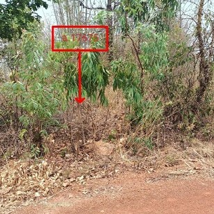 รูปที่ดินว่างเปล่า โพนแพง อากาศอำนวย สกลนคร