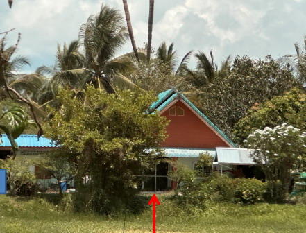 รูปที่ดินพร้อมสิ่งปลูกสร้าง ท่าไร่ เมืองนครศรีธรรมราช นครศรีธรรมราช