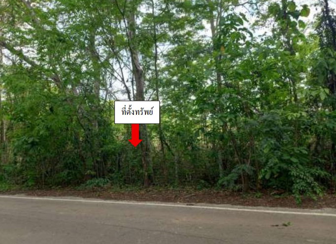 รูปที่ดินว่างเปล่า ม่วง บ้านม่วง สกลนคร