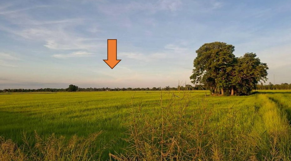 รูปที่ดินว่างเปล่า มะเฟือง พุทไธสง บุรีรัมย์