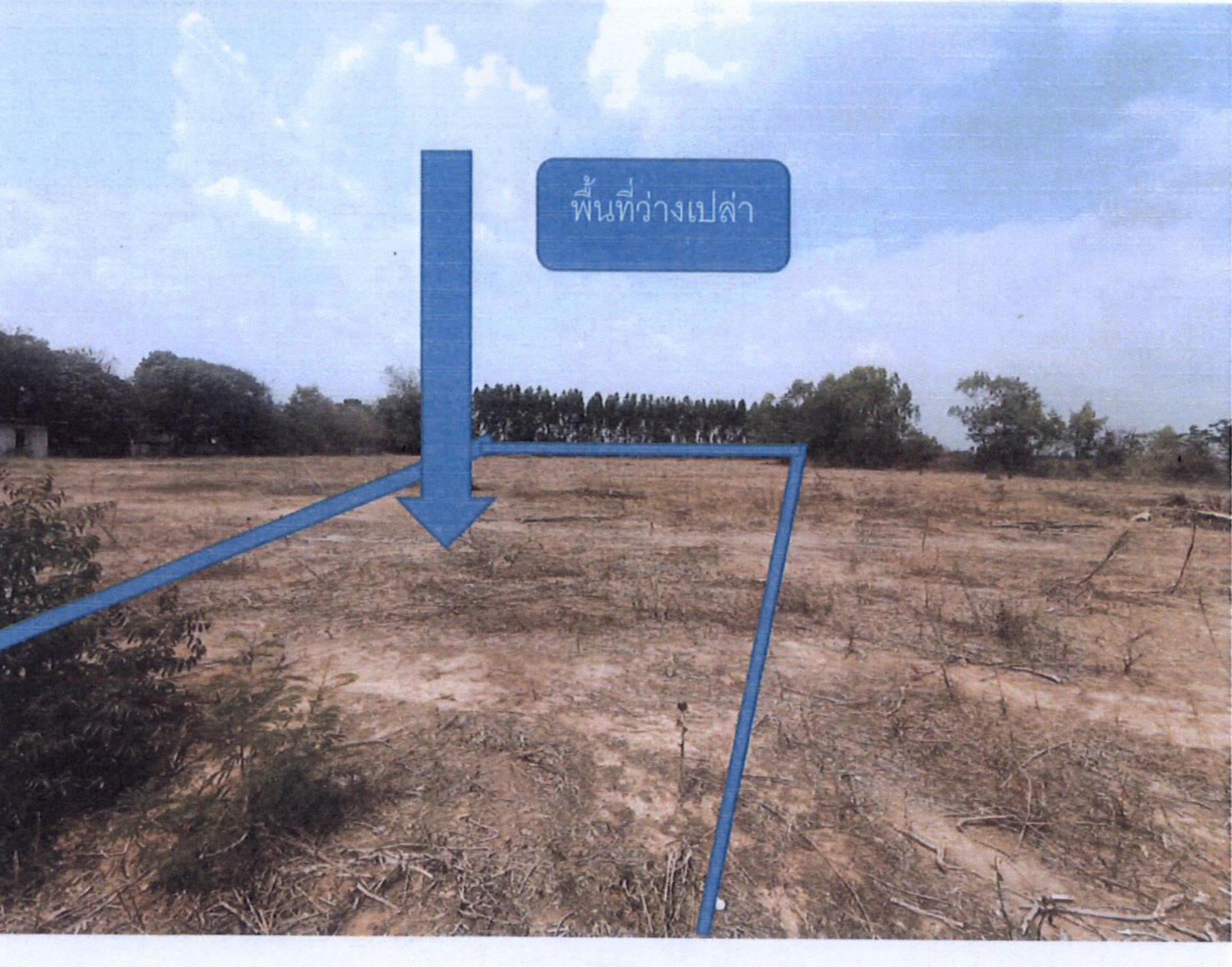 รูปที่ดินว่างเปล่า ทุ่งกุลา ท่าตูม สุรินทร์