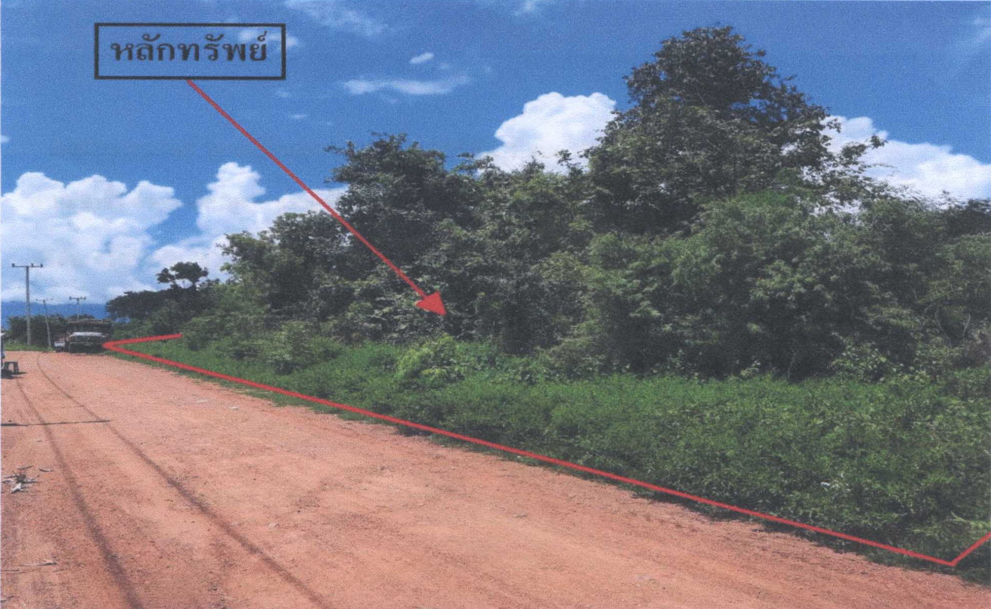 รูปที่ดินว่างเปล่า นางั่ว เมืองเพชรบูรณ์ เพชรบูรณ์