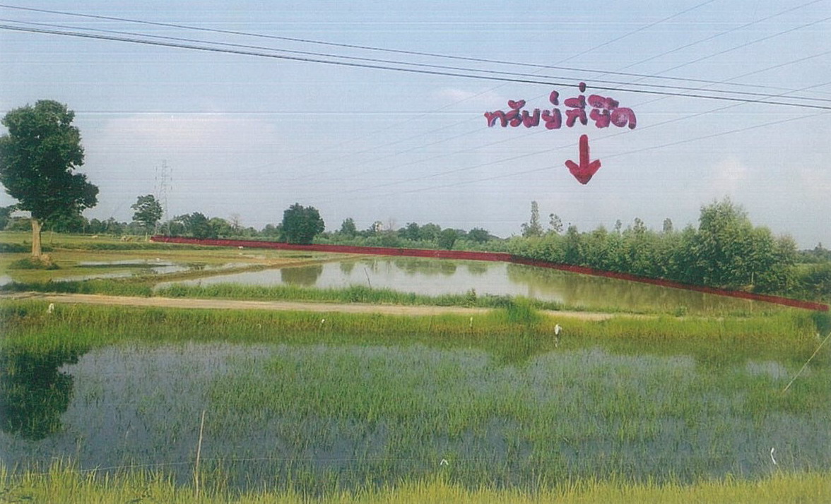 รูปที่ดินว่างเปล่า หนองคู ลำปลายมาศ บุรีรัมย์