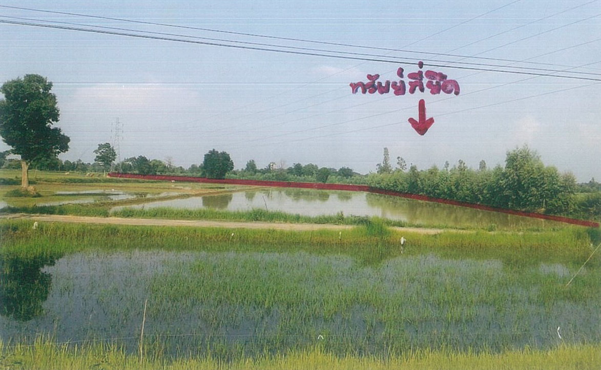 รูปที่ดินว่างเปล่า หนองคู ลำปลายมาศ บุรีรัมย์