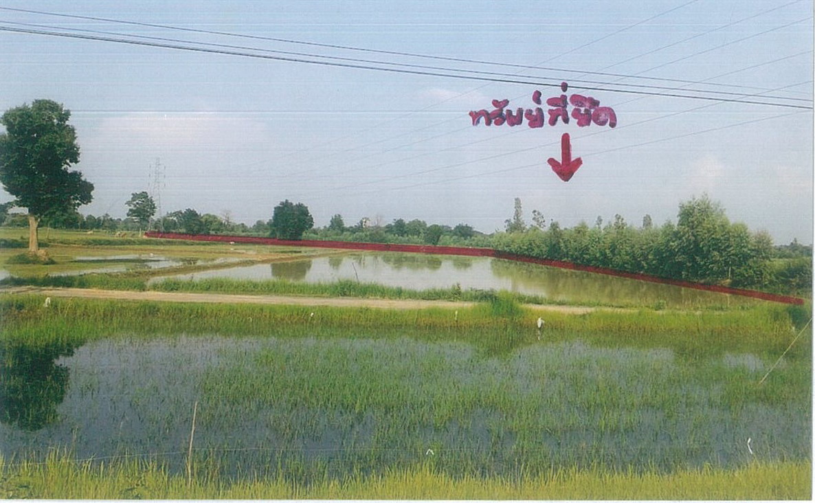 รูปที่ดินว่างเปล่า หนองคู ลำปลายมาศ บุรีรัมย์