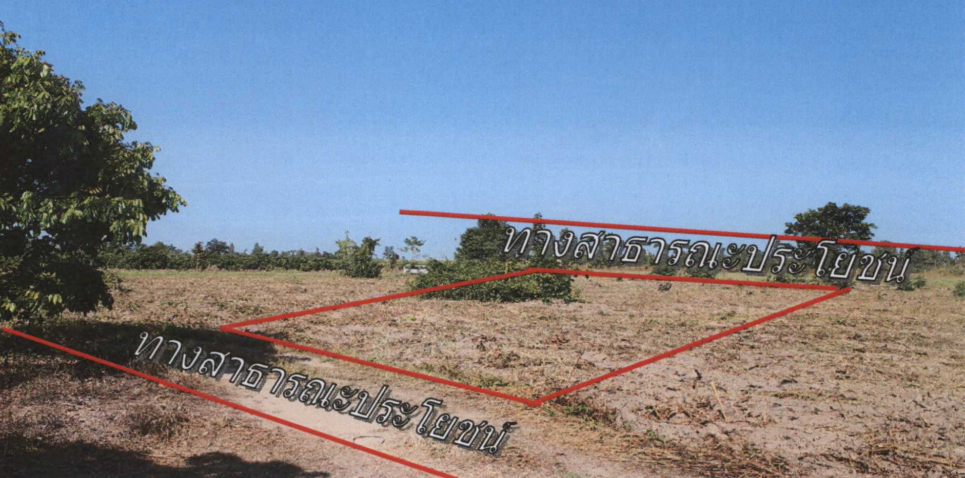 รูปที่ดินว่างเปล่า ศรีวิชัย ลี้ ลำพูน