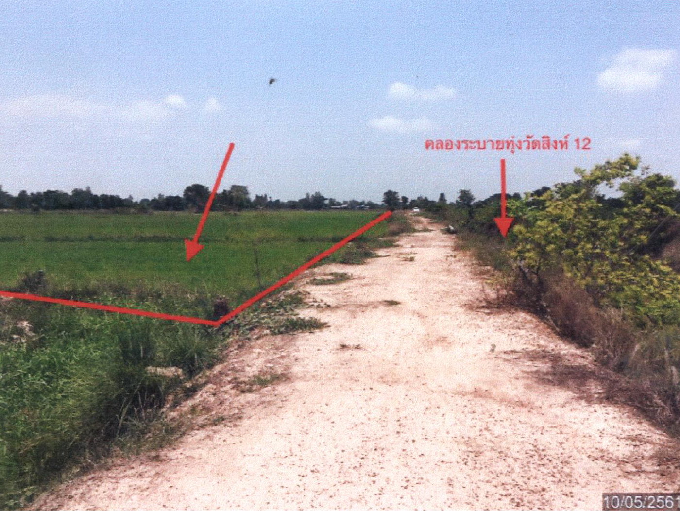 รูปที่ดินว่างเปล่า หนองแซง หันคา ชัยนาท