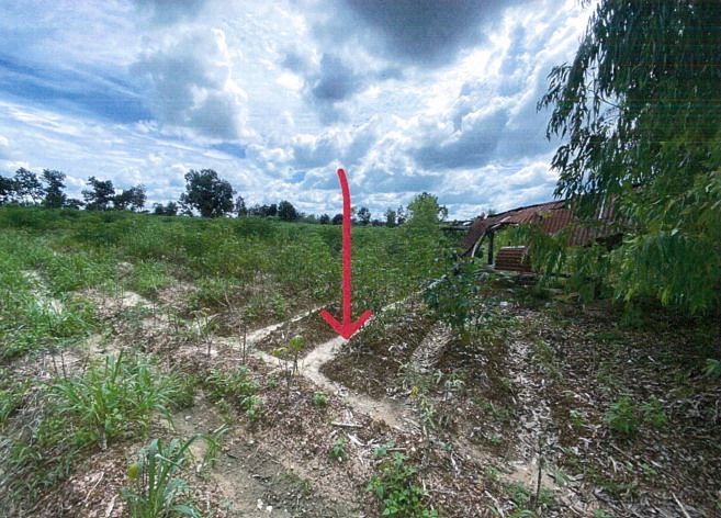 รูปที่ดินว่างเปล่า ห้วยฝ้ายพัฒนา ตระการพืชผล อุบลราชธานี