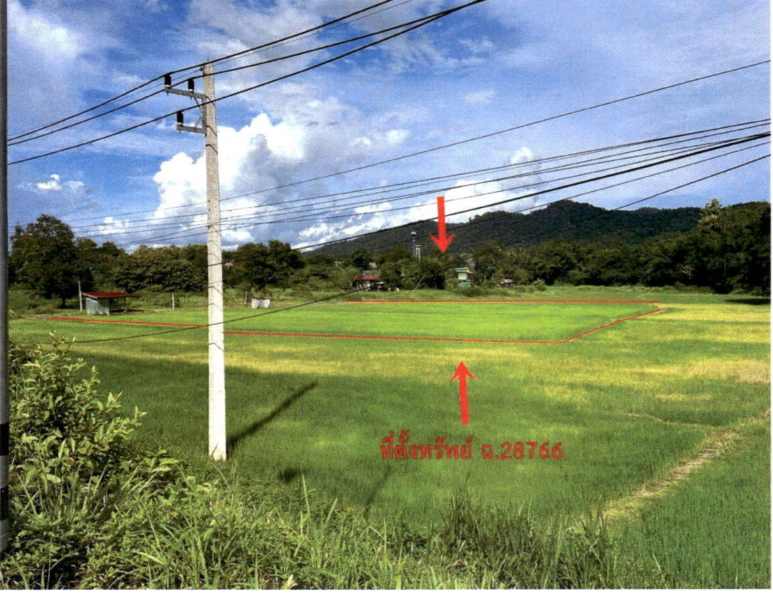 รูปที่ดินว่างเปล่า ป่าสัก วังชิ้น แพร่