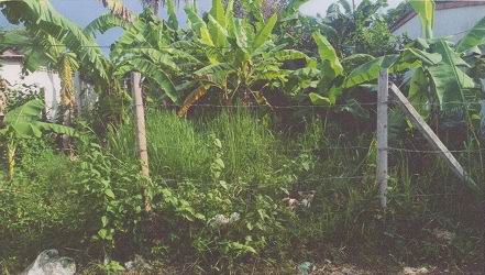 รูปที่ดินว่างเปล่า บ่อน้ำร้อน กันตัง ตรัง