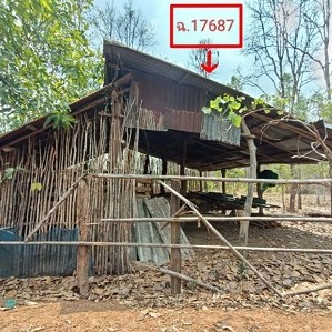 รูปที่ดินพร้อมสิ่งปลูกสร้าง โพนแพง อากาศอำนวย สกลนคร
