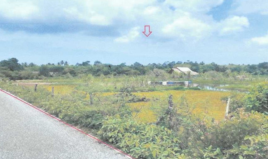 รูปที่ดินว่างเปล่า บาเระเหนือ บาเจาะ นราธิวาส