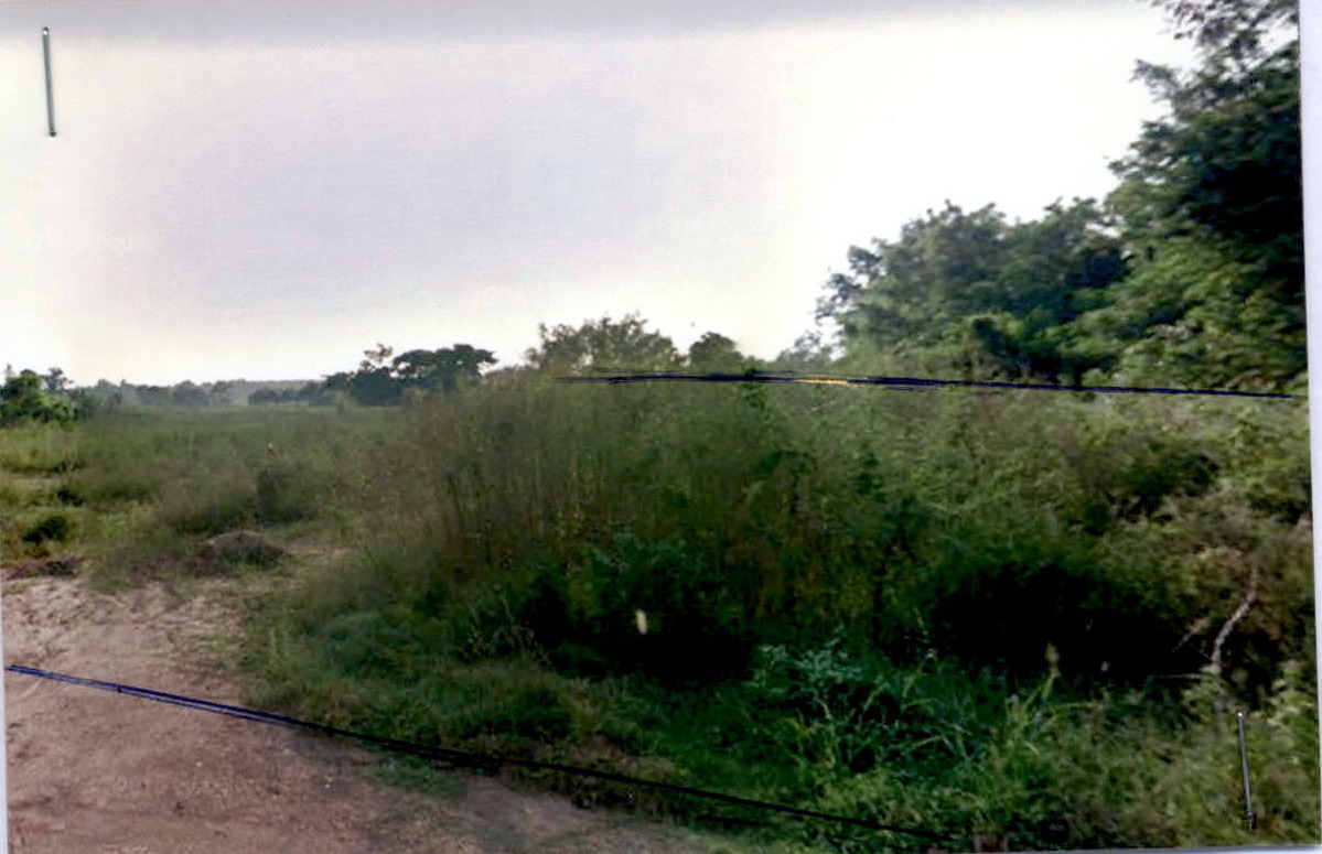 รูปที่ดินว่างเปล่า พนอม ท่าอุเทน นครพนม