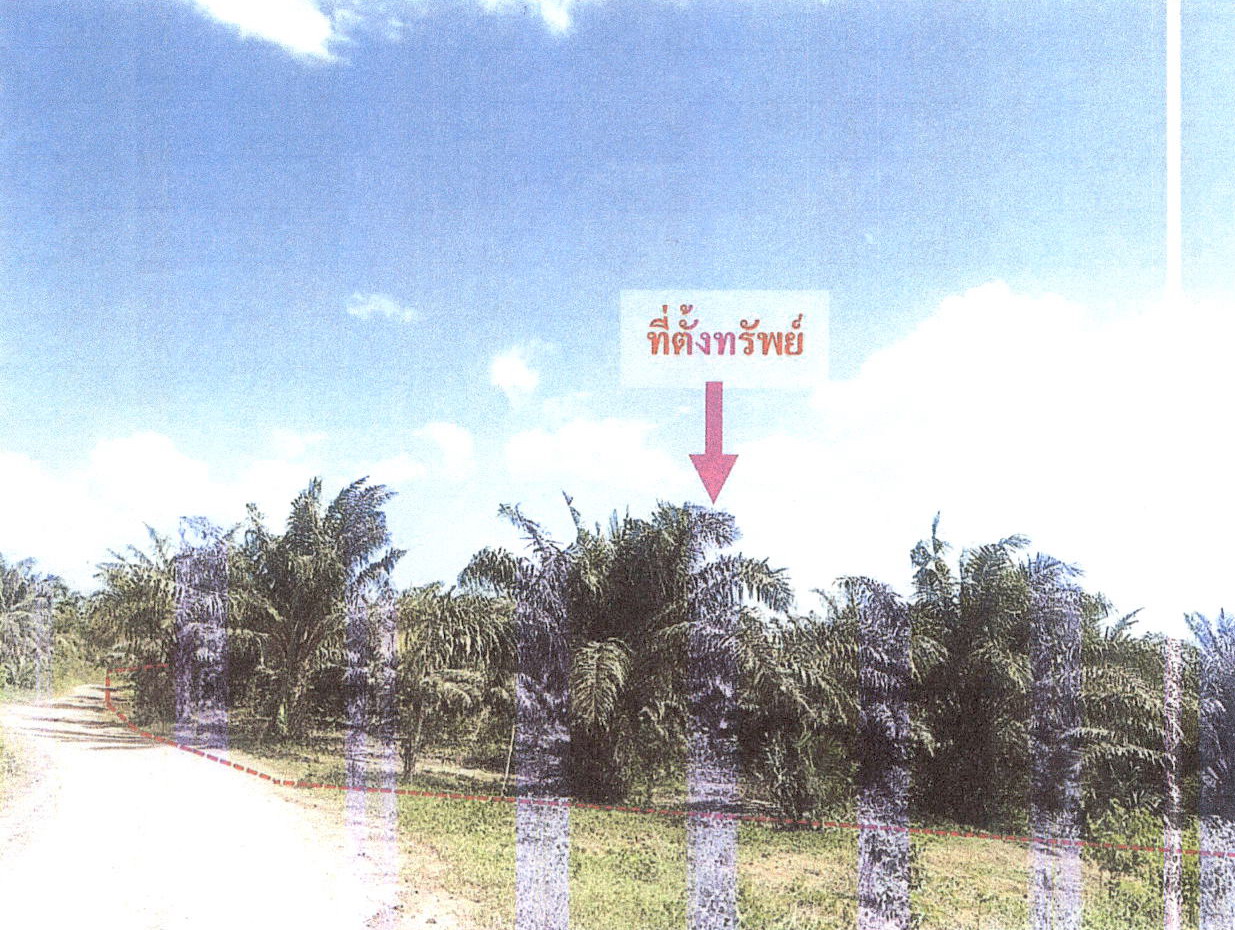 รูปที่ดินว่างเปล่า พรุเตียว เขาพนม กระบี่