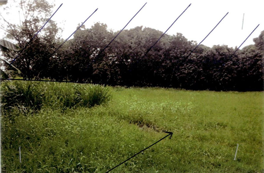 รูปที่ดินว่างเปล่า เมืองนะ เชียงดาว เชียงใหม่