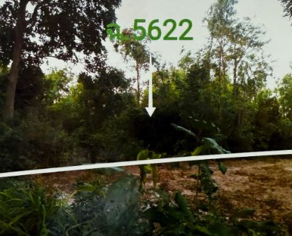 รูปที่ดินว่างเปล่า (สะอาด)หนองตาไก้ โพธิ์ชัย ร้อยเอ็ด