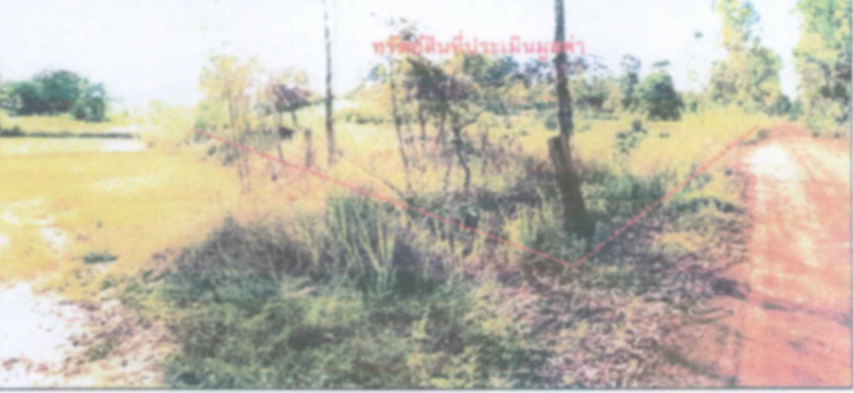 รูปที่ดินว่างเปล่า ท่าลาด เรณูนคร นครพนม