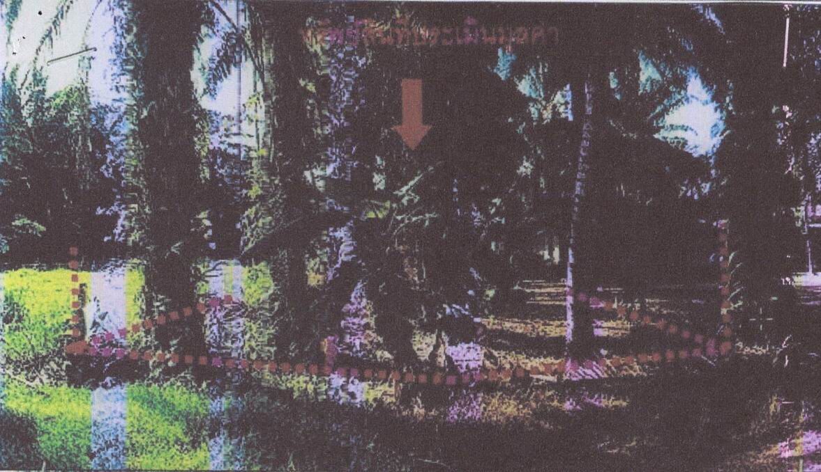 รูปที่ดินว่างเปล่า ดินแดง ลำทับ กระบี่