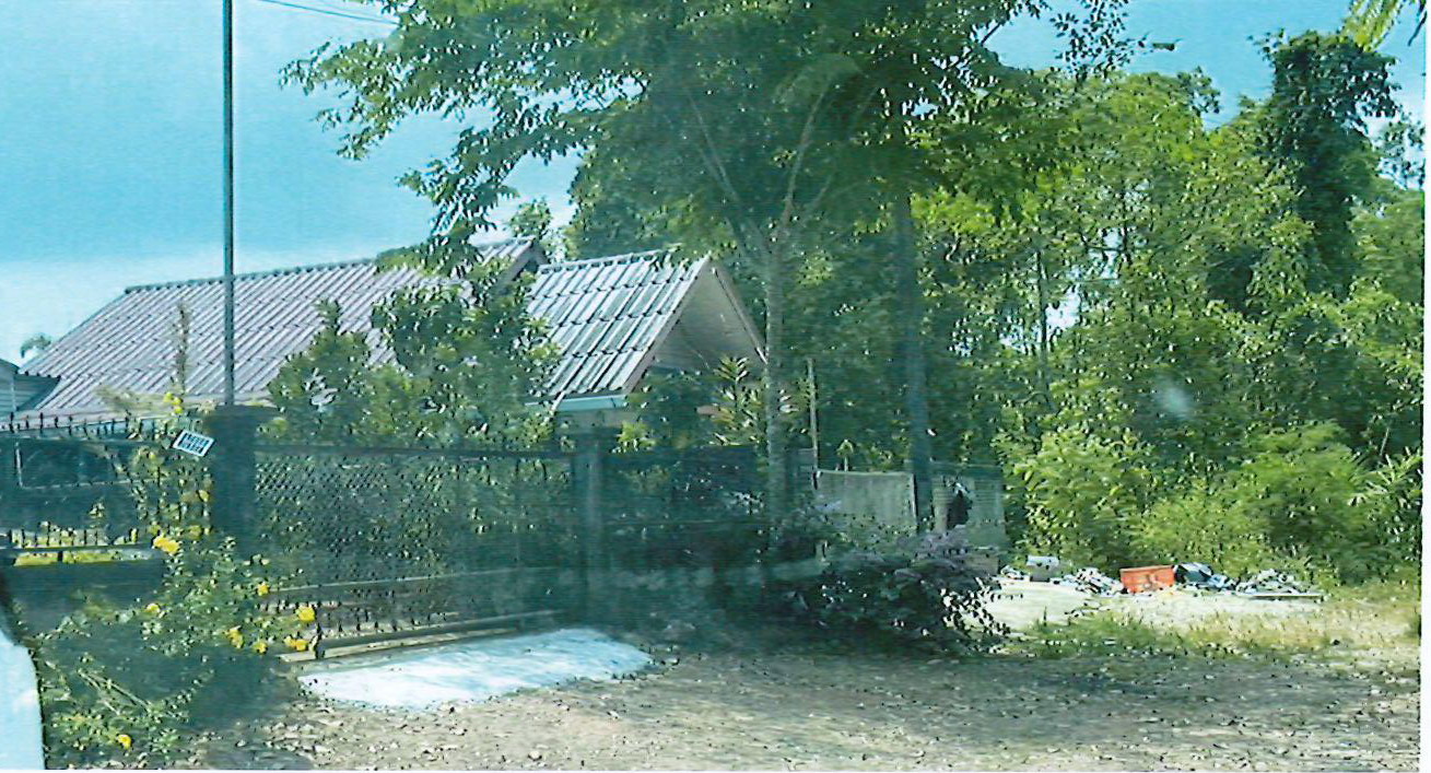 รูปที่ดินพร้อมสิ่งปลูกสร้าง นาโพธิ์ สวี ชุมพร