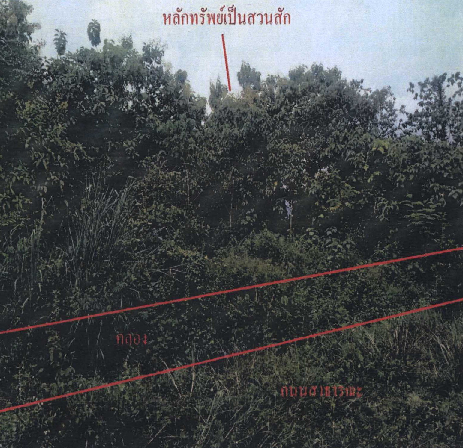 รูปที่ดินว่างเปล่า บ้านเหล่า แม่ใจ พะเยา